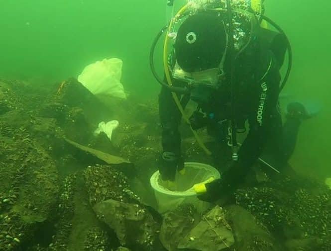 SCUBA diver in full gear kneels on a rocky seabed, placing a white bucket into a crevice as a white plastic bag floats nearby in greenish underwater murk.