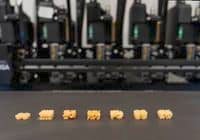 Row of seven small beige 3D-printed gear-shaped objects on a printer bed, with the machine blurred in the background.