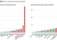 Two side-by-side bar charts compare pollution per 100g protein: left shows GHG emissions (green plant-based, red animal-based); right shows water pollution, beef highest on both.