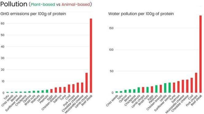 Two side-by-side bar charts compare pollution per 100g protein: left shows GHG emissions (green plant-based, red animal-based); right shows water pollution, beef highest on both.