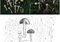 Two photo panels: (a) small tan mushrooms scattered on grass; (b) white-capped mushrooms with stems in turf. Inset scale bars show size reference for each panel.