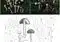 Two photo panels: (a) small tan mushrooms scattered on grass; (b) white-capped mushrooms with stems in turf. Inset scale bars show size reference for each panel.