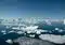 Arctic seascape with scattered ice floes on deep blue water under a clear sky