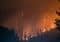Nighttime wildfire consuming a forest, with glowing orange flames and smoke among silhouetted trees in the hills