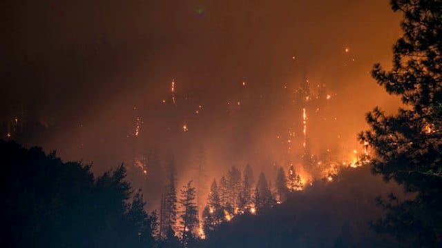 Nighttime wildfire consuming a forest, with glowing orange flames and smoke among silhouetted trees in the hills