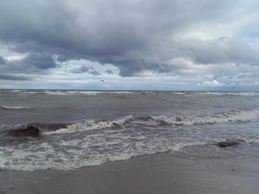 Die Ostsee ist in Gefahr: Der Nährstoffeintrag ist zu hoch. Credits: Pugnalom
