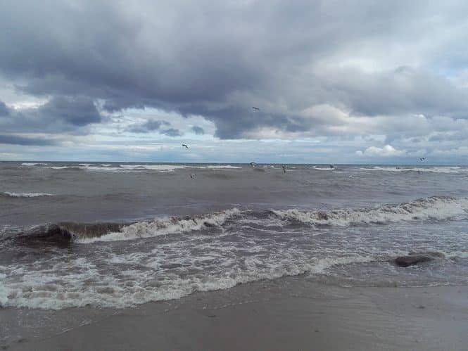 Die Ostsee ist in Gefahr: Der Nährstoffeintrag ist zu hoch. Credits: Pugnalom