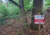 Einverleibung mit schweren Folgen für die Natur. Credits: Pugnalom