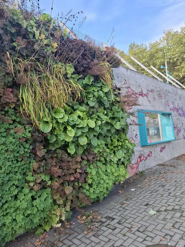Dense green and burgundy foliage covers a concrete wall beside a blue-framed window, with a brick sidewalk in the foreground.