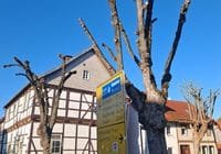 Leider ein gewohntes Bild in Städten und Gemeinden. Hier: Seesen, Landkreis Goslar. Credits: Pugnalom