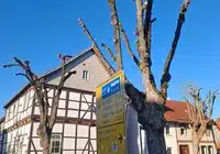 Afsuski, bu shahar va qishloqlarda keng tarqalgan manzara. Bu yerda: Seesen, Goslar tumani. Manbalar: Pugnalom