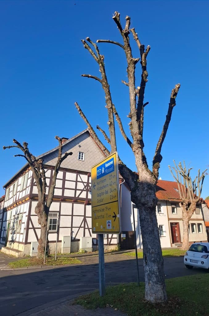 Leider ein gewohntes Bild in Städten und Gemeinden. Hier: Seesen, Landkreis Goslar. Credits: Pugnalom