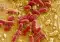 Escherichia coli unter dem Mikroskop. Credits: Manfred Rohde, HZI Center for Infection Research