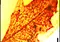 Orange autumn maple leaf with visible veins on a yellow background.