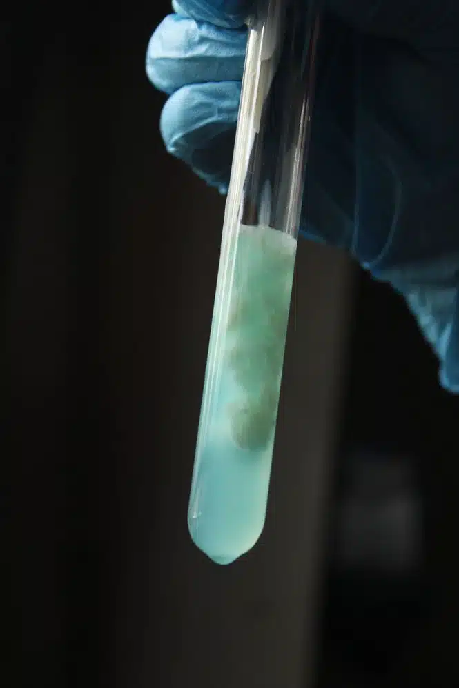Temperaturstabilität der Enzyme eröffnet neue Möglichkeiten. Credits:Jahra Tasfia Reza, pexels 