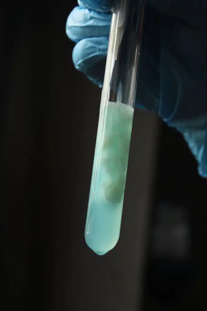 Temperaturstabilität der Enzyme eröffnet neue Möglichkeiten. Credits:Jahra Tasfia Reza, pexels 