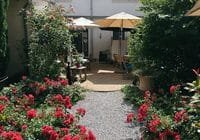 Egal, wie der Garten gestaltet ist: Ruhr-Uni-Forscher fragen nach. Credits: Lara, pexels