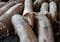 Arme Schweine: auf engstem Raum zusammengepfercht, ohne Einstreu und Auslauf. Credits: Mark Strebnicki, pexels