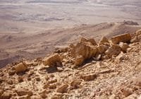Die Negev: unwirtlich und mit nur wenig Leben. Credits: Svetlana B, pexels