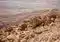 Die Negev: unwirtlich und mit nur wenig Leben. Credits: Svetlana B, pexels