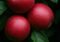 Äpfel sind nach wie vor der Deutschen liebstes Obst. Credits: Yann Rimaz, pexels